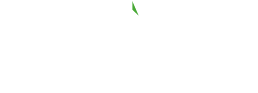 Look North logo